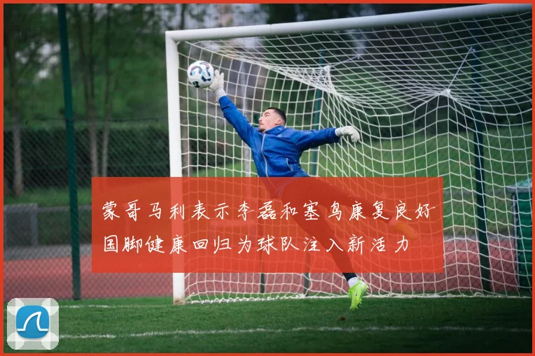 蒙哥马利表示李磊和塞鸟康复良好国脚健康回归为球队注入新活力